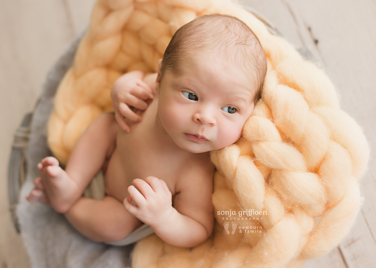 August-Newborn-Brisbane-Newborn-Photographer-Sonja-Griffioen-14.jpg