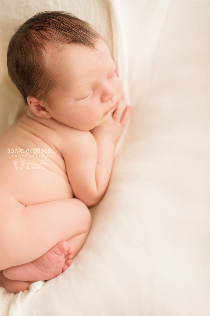 Harvey-Newborn-Brisbane-Newborn-Photographer-Sonja-Griffioen-11.jpg