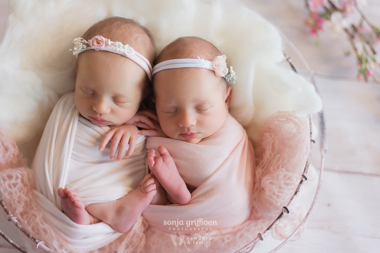 Leia-Daisy-Newborn-Brisbane-Newborn-Photographer-Sonja-Griffioen-08.jpg