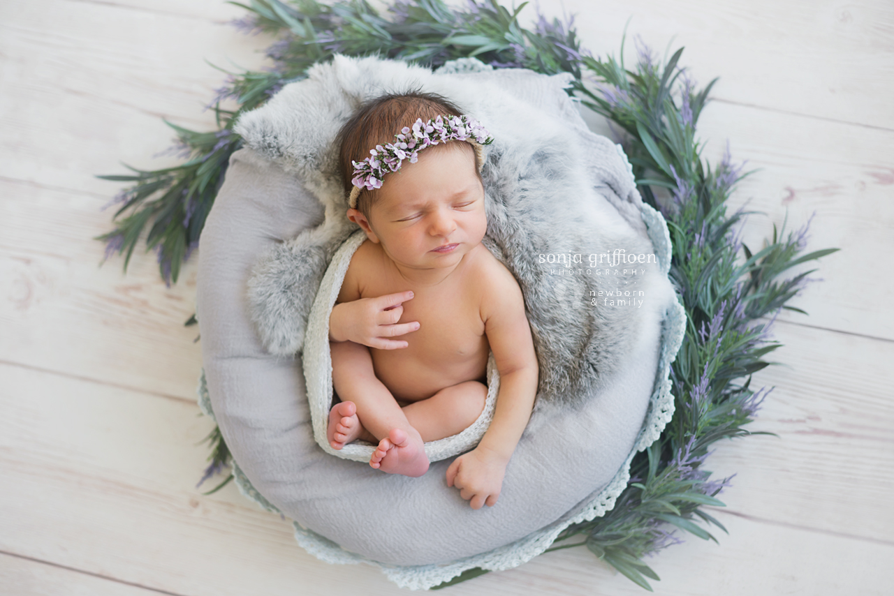 Maple-Rose-Newborn-Brisbane-Newborn-Photographer-Sonja-Griffioen-14.jpg