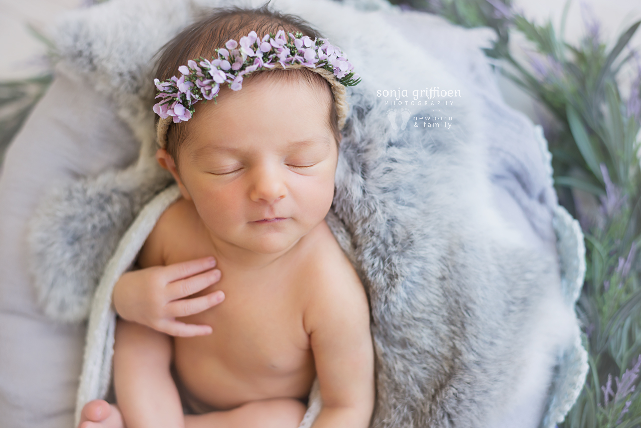 Maple-Rose-Newborn-Brisbane-Newborn-Photographer-Sonja-Griffioen-15.jpg