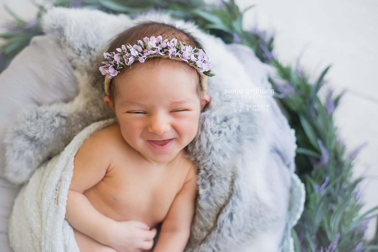 Maple-Rose-Newborn-Brisbane-Newborn-Photographer-Sonja-Griffioen-17.jpg