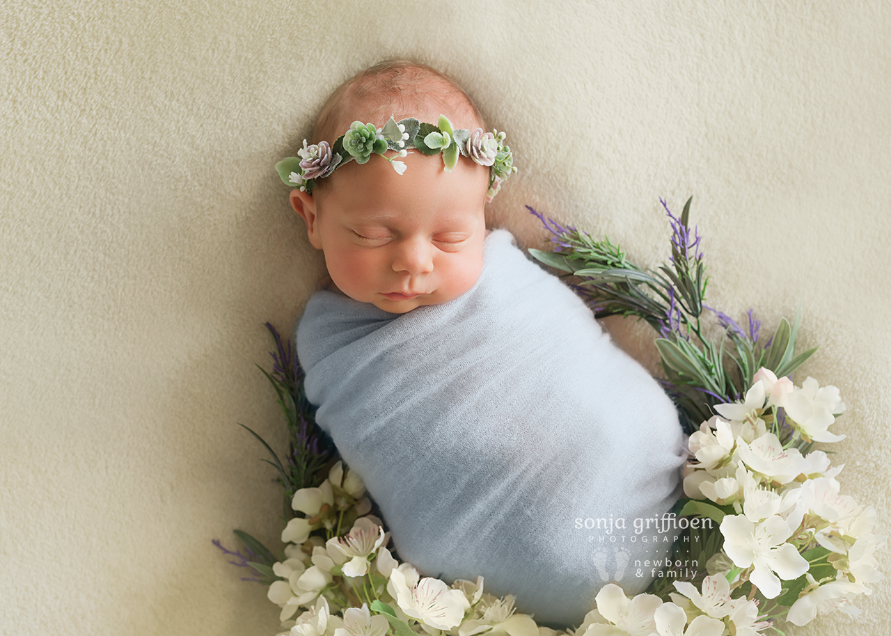 Vivienne-Newborn-Brisbane-Newborn-Photographer-Sonja-Griffioen-16.jpg